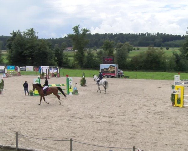 Reitturnier Gossau 2025