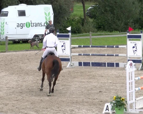 Reitturnier Gossau 2025