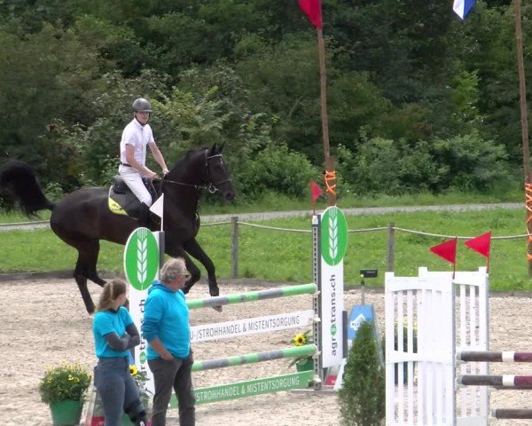 Reitturnier Gossau 2025