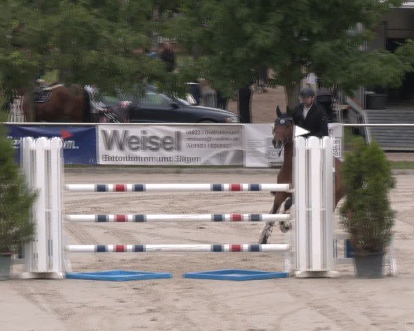 Reitturnier Groß-Zimmern 2025