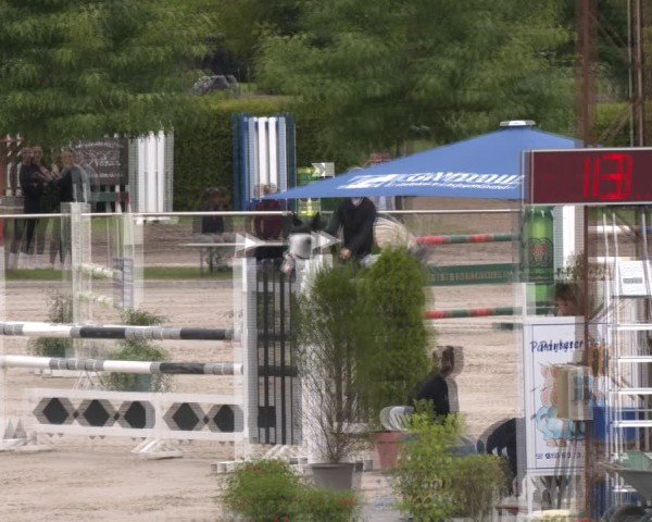 Reitturnier Groß-Zimmern 2025