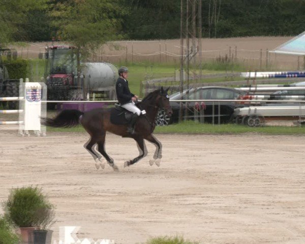 Reitturnier Groß-Zimmern 2025
