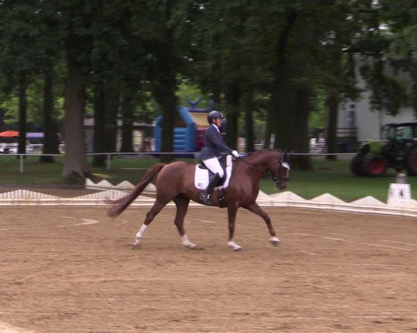 Reitturnier Zobbenitz 2025