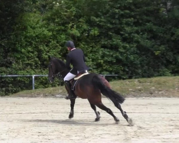 Sommerturnier Fröndenberg 2014