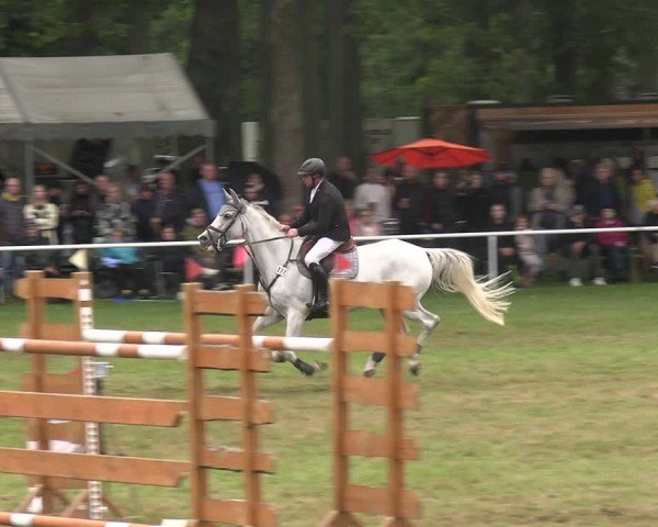 Reitturnier Zobbenitz 2025