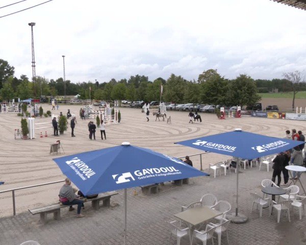 Reitturnier Groß-Zimmern 2025