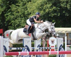 jumper Cayenne CA (Holsteiner, 2013, from Connor 48)