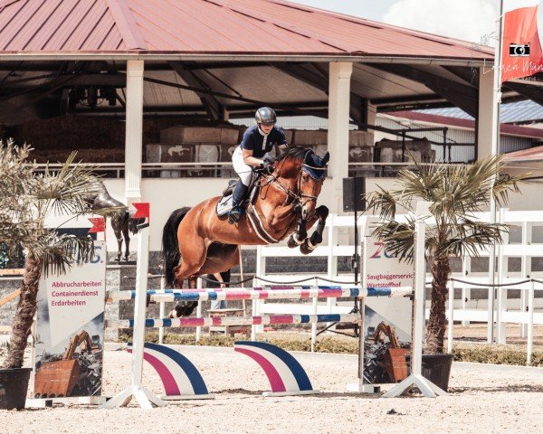 Springpaard Otis Owen MM (KWPN (Nederlands warmbloedpaard), 2019, van Blue Hors Zackerey)