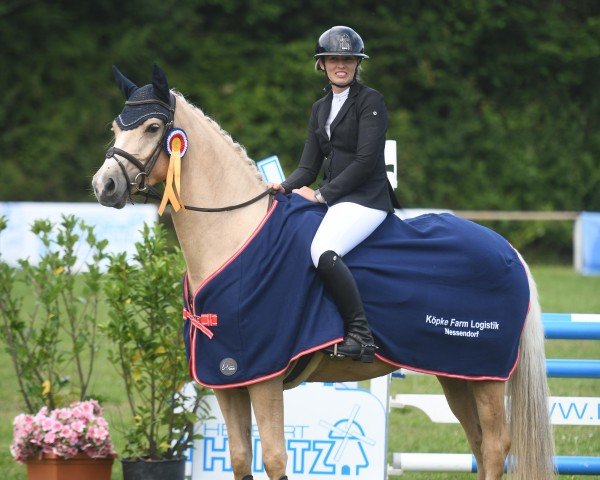 broodmare Call me Cinderella B (German Riding Pony, 2020, from Gigabyte)