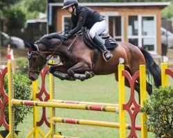 Cavallo da salto Call me Claus 4 (altro sangue caldo, 2019)