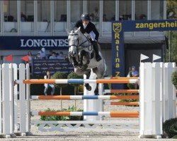 jumper Mister Jones (KWPN (Royal Dutch Sporthorse), 2017, from Comme il Faut)