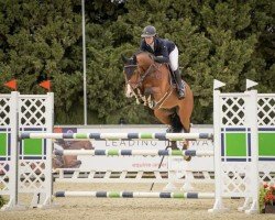 jumper Imagine H (KWPN (Royal Dutch Sporthorse), 2013, from Etoulon VDL)