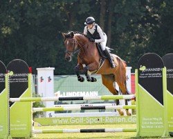 Cavallo da salto Tally Blue PS (Oldenburger Cavallo da salto, 2019, di Talan)