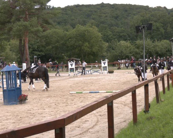 Reitturnier Arnsberg-Holzen 2025