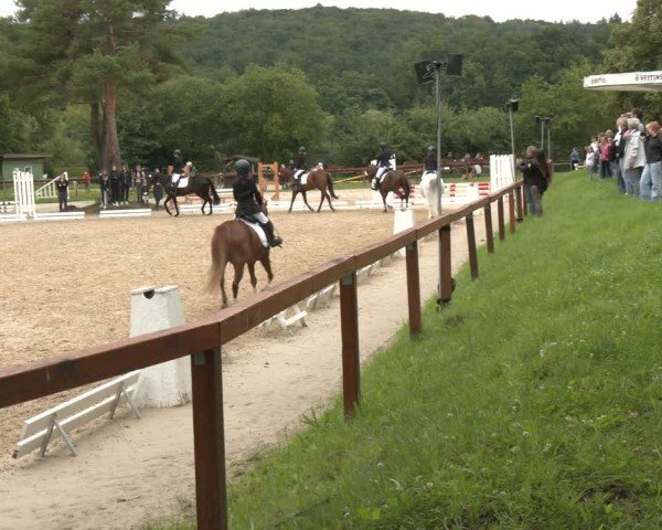 Reitturnier Arnsberg-Holzen 2025
