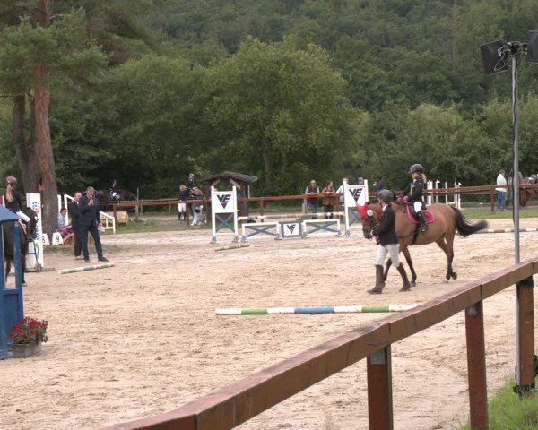 Reitturnier Arnsberg-Holzen 2025