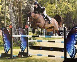 broodmare Squalls Estate Foxriver (Belgian Warmblood, 2007, from Takashi van Berkenbroeck)