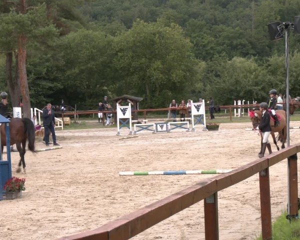 Reitturnier Arnsberg-Holzen 2025