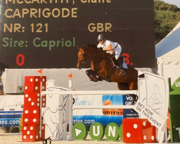 horse Caprigode (Oldenburg, 1992, from Capriol)