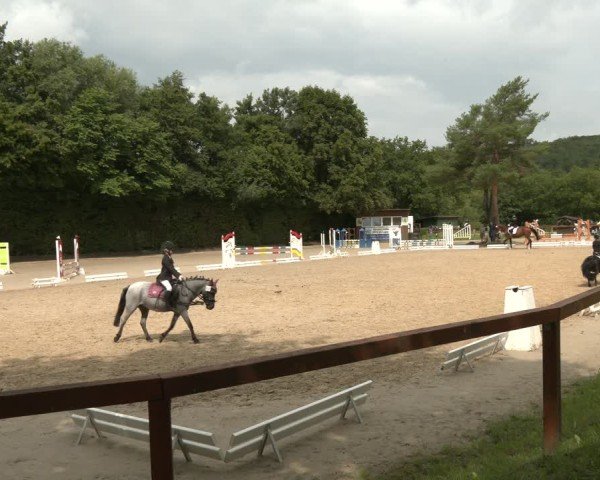 Reitturnier Arnsberg-Holzen 2025