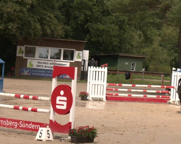 Reitturnier Arnsberg-Holzen 2025