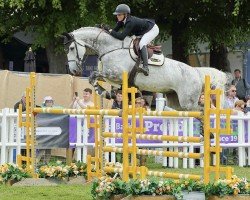 jumper Millfield Chrisis (Oldenburg show jumper, 2015, from Christian 25)