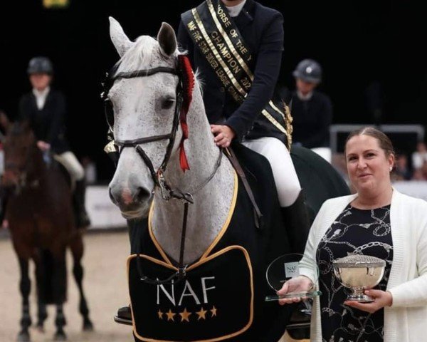 Springpferd Cartino III (KWPN (Niederländisches Warmblut), 2007, von Cartano)