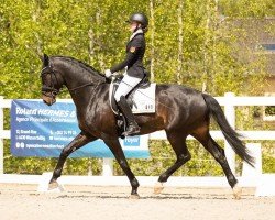 Dressage horse Dream Dancer 90 (German Sport Horse, 2018, from Decurio 3)
