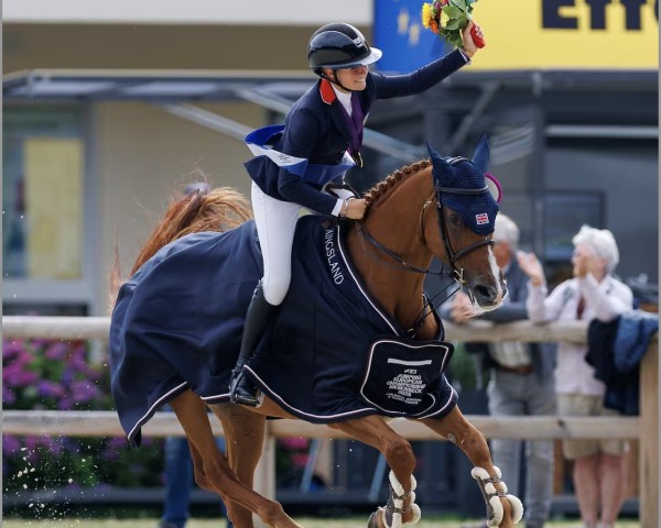 jumper Quality Street (Irish Sport Horse, 2011, from Obos Quality)