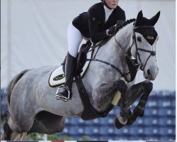 jumper My Sonora (KWPN (Royal Dutch Sporthorse), 2017, from Vigo d'Arsouilles)