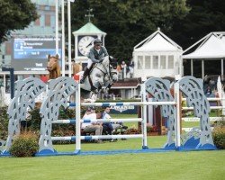 jumper Farianne (KWPN (Royal Dutch Sporthorse), 2010, from Indoctro)