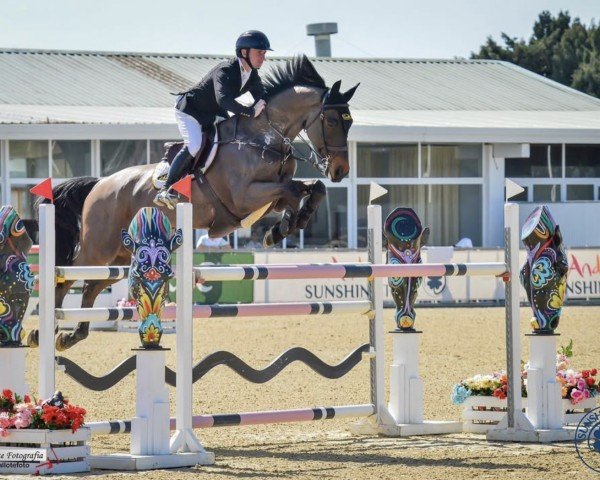 jumper Kolwa (KWPN (Royal Dutch Sporthorse), 2015, from Connect)