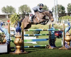 Cavallo da salto Cherrydan S (Cavallo Sportivo Tedesco, 2015, di Chetlag)