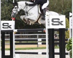jumper Kaatje AD (KWPN (Royal Dutch Sporthorse), 2015, from Emir R)