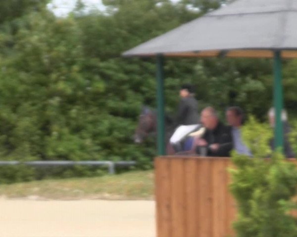 Sommerturnier Fröndenberg 2014