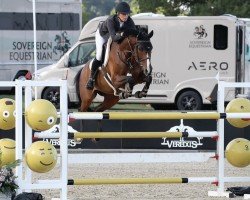 jumper Witch One HF (anglo european sporthorse, 2018, from Casall Ask)