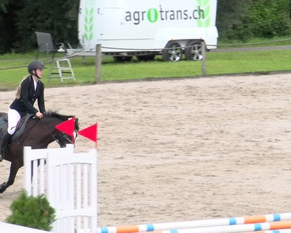 Reitturnier Gossau 2025