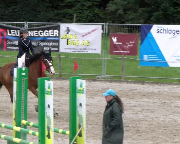 Reitturnier Gossau 2025