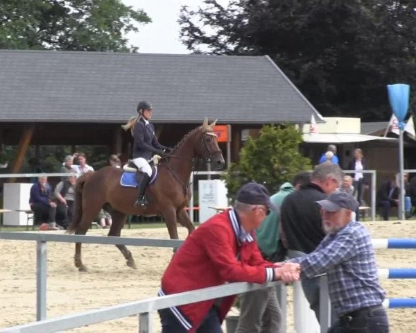Sommerturnier Fröndenberg 2014