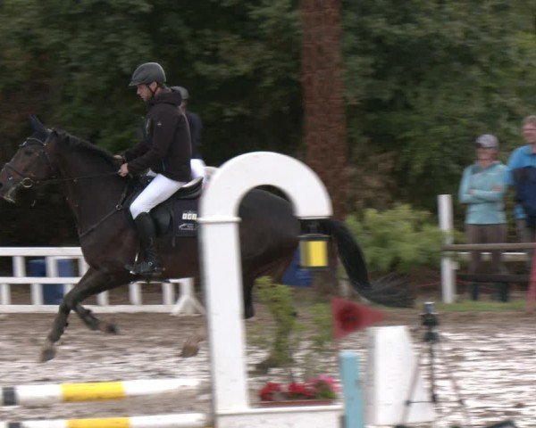 Reitturnier Neuss-Uedesheim 2025