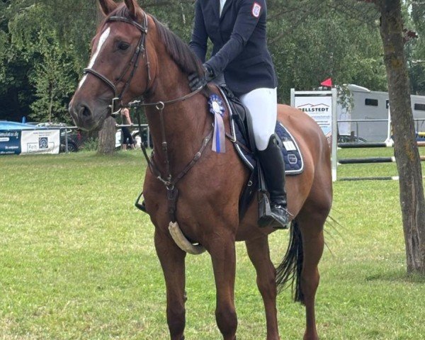 Skokan Ikopa F (Westfálský kůň, 2019, od I'm Special de Muze)