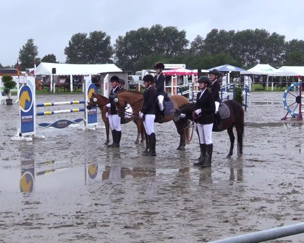 Reitturnier Sollerup 2025