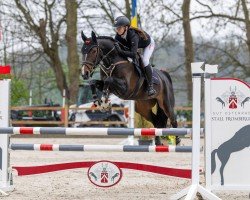 Springpferd Nelia 4 (Westfale, 2018, von Nubalou W.Z.)