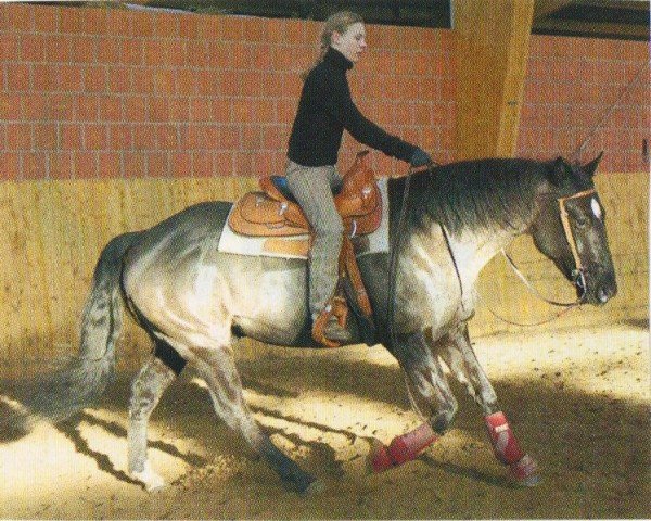 Horse Joker (Appaloosa, 1997, from Classic Painter)