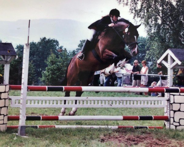 Égua reprodutora Ronja (Württemberger, 1989, de Ramin)