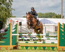 Cavallo da salto Elvis 328 (Cavallo Sportivo Tedesco, 2019, di Eldorado van de Zeshoek)