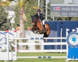 jumper Fahra Es (KWPN (Royal Dutch Sporthorse), 2010, from Diarado)