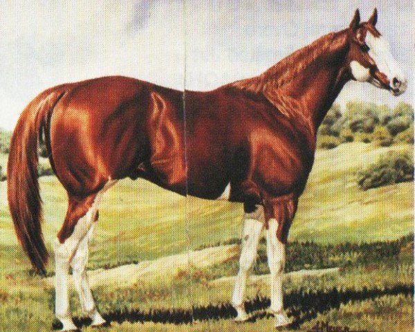 Cheval String N Jet (Paint Horse, 1982, de Silent String)