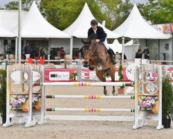 Caballo de salto Lanturo (Holsteiner, 2017, de Larimar)