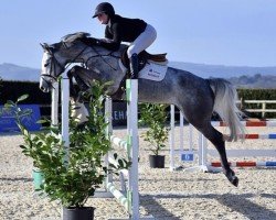 jumper BE Alicante (anglo european sporthorse, 2018, from Cornet Obolensky)
